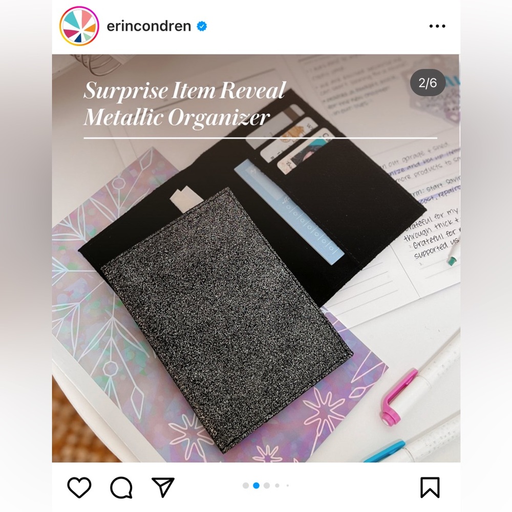 Metallic organizer Erin condren surprise item  winter sparkle bundle 2023 nwt
